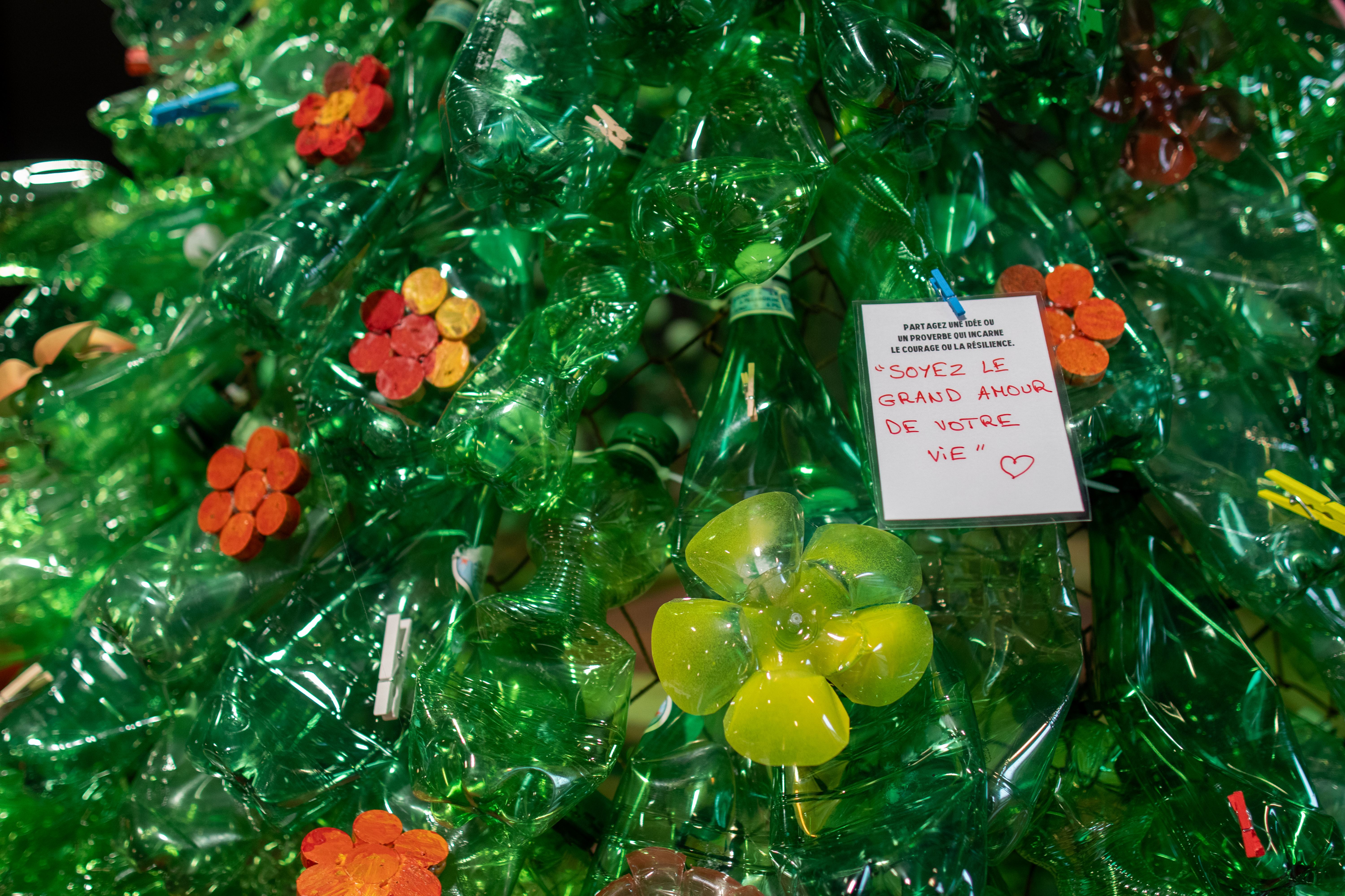 Les sapins porte-paroles, ou comment soutenir les victimes de violences à travers les mots